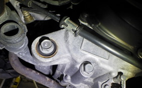 HONDA TACT Basket 2002 AF79