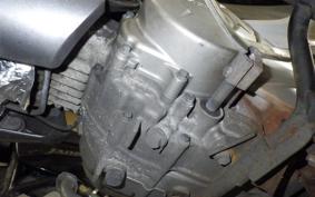 HONDA WAVE 110 2025 NF110TM