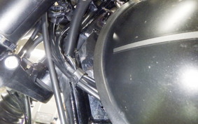 KAWASAKI W800 STREET 2019 EJ800B