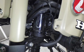 HONDA CT125 HUNTER CUB 2025 JA55