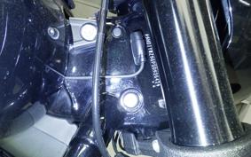 HARLEY FXLRS1920 2024
