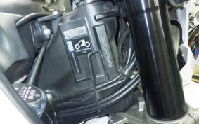 YAMAHA WR250X 2025 DG15J