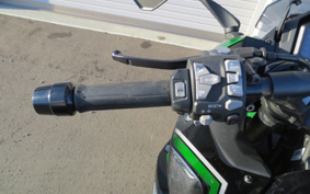 KAWASAKI NINJA 1000SX 2024 ZXT02K