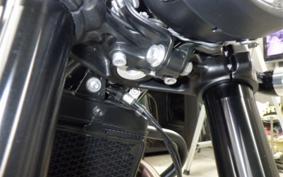 TRIUMPH SPEED TWIN 900 2025