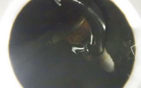 HARLEY FLHXS 1870 2023
