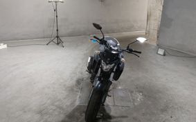 YAMAHA FZ25 RG42