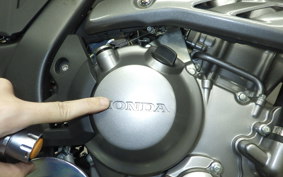 HONDA CRF250L 2007 MD47