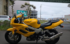 HONDA VTR1000F 1999 SC36