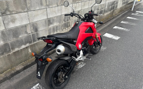 HONDA GROM JC61