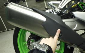 KAWASAKI ZX-4RR 2024 ZX400P