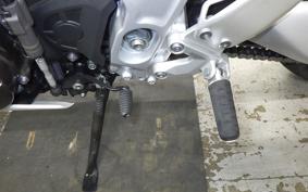 YAMAHA XSR900 GP 2024 RN96J