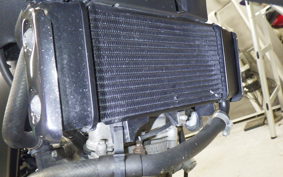 YAMAHA XSR155 2024