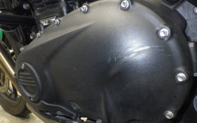 TRIUMPH SPEED TWIN 2023