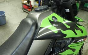 KAWASAKI KLX250D TRACKER X 2019 LX250V