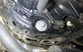 YAMAHA TW225 2008 DG09J