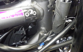 YAMAHA YZF-R25 A RG95J