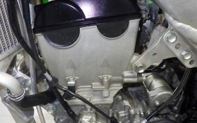 KAWASAKI KX250 2019 KX252E