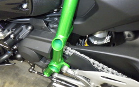 KAWASAKI NINJA H2 CARBON 2021 ZXT02J