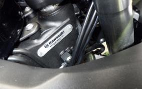 KAWASAKI NINJA 1000SX 2024 ZXT02K