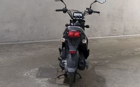 HONDA ZOOMER-X JF38