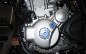 YAMAHA WR250X 2023 DG15J