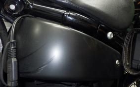 HARLEY FXBB1750 2019