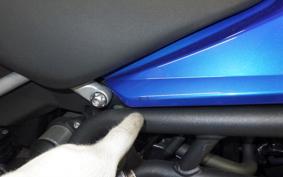 TRIUMPH TIGER 900 GT PRO 2023