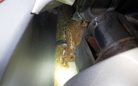 SUZUKI LET's 4 G CA41A