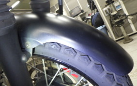 KAWASAKI W800 CAFE 2020 EJ800B