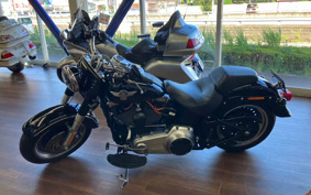 HARLEY FLSTFB 2011 JN5