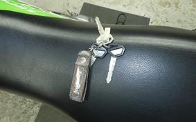 KAWASAKI SUPER SHERPA 1995 KL250G