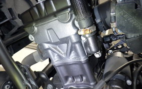 HONDA REBEL 250 S MC49