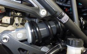 KAWASAKI Z900 2025 ZR900S