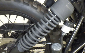 OTHER MUTT250 2021