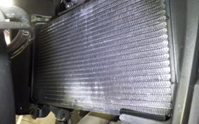 HONDA NX400 2025 NC65