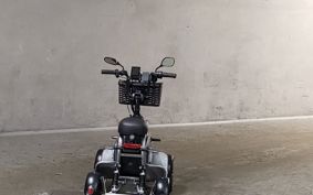 OTHER MINI BIKE ..