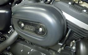 HARLEY XL883N 2015