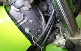KAWASAKI SUPER SHERPA 2021 KL250G