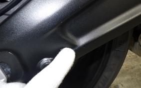 TRIUMPH TRIDENT 660 2024