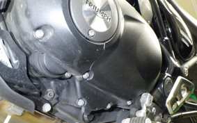 TRIUMPH SPEED 400 2024
