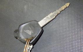HONDA WAVE 110 2025 NF110TM