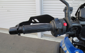 SUZUKI STROM 250ABS DS11A