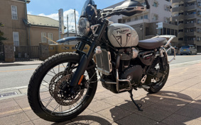 TRIUMPH SCRAMBLER 1200X 2024 DADR0H