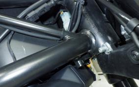 DUCATI MONSTER 1100 EVO 2013