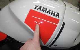 YAMAHA XSR900 2024 RN80J