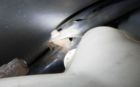 HONDA GYRO CANOPY 1998 TA03