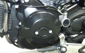 DUCATI MONSTER 1100 EVO 2013