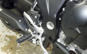 BMW S1000XR 2024
