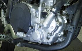 YAMAHA WR250X DG15J