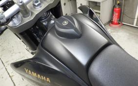 YAMAHA WR250X DG15J